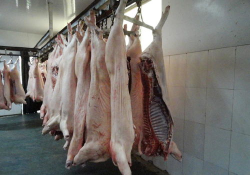 猪肉 厂家优质猪肉,白条 白条猪,冷冻白条猪,冷冻肉类