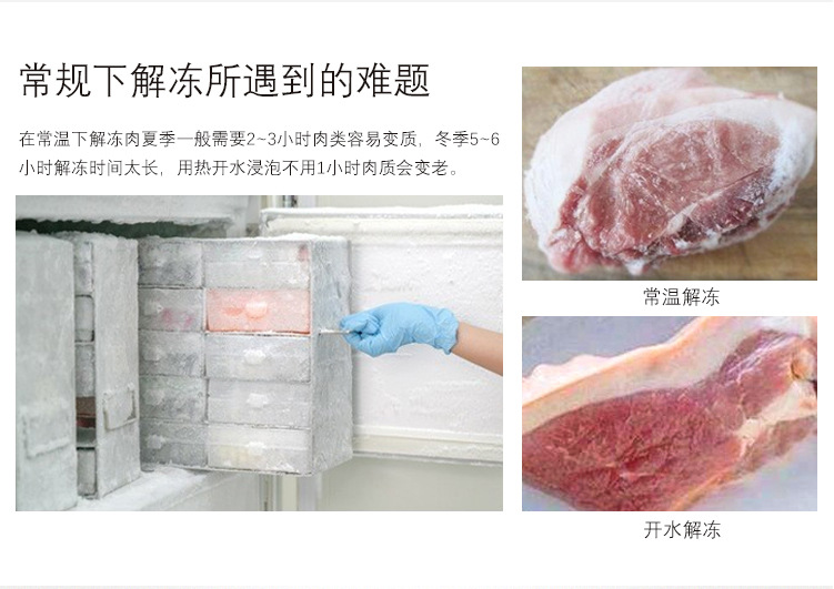 低温高湿解冻机 羊酮体牛肉缓化间 海鲜解冻 缓化时间短