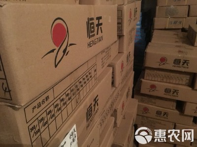 冷冻鲈鱼 速鲜白蕉海鲈冰冻花鲈真鲈海鲈工厂原产地发货