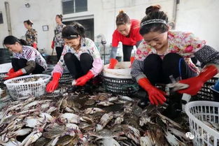 开海了 想买最新鲜 地道的海鲜,老连云港人都来这里