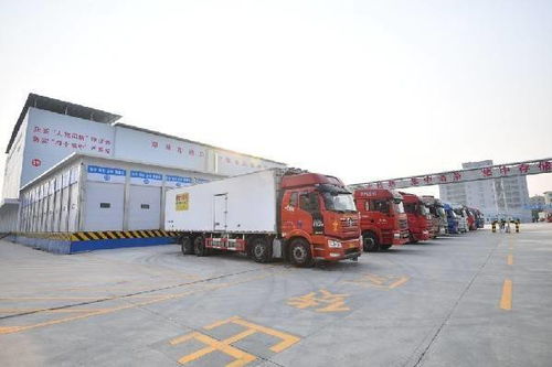筑牢 外防输入 防线 郑州进口冷链食品集中监管仓正式启用