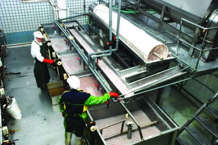 石狮伏季休渔结束 水产品加工企业一片繁忙 图