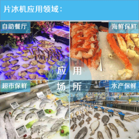 【利尔1吨片冰机肉食品加工降温、超市海鲜保鲜图片】利尔1吨片冰机肉食品加工降温、超市海鲜保鲜