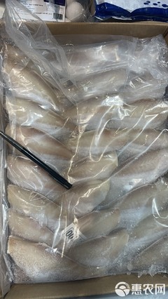 50-100板冻耗儿鱼