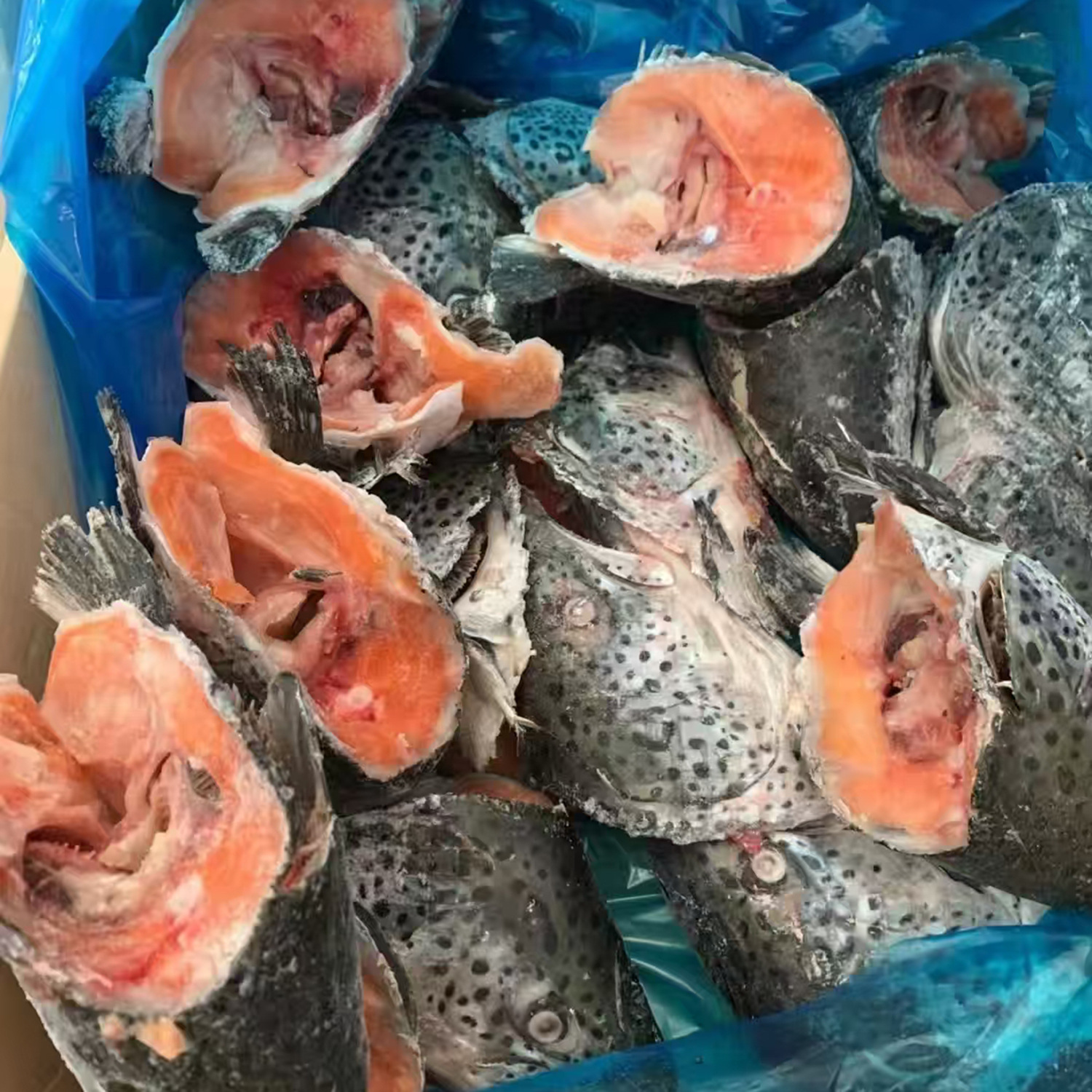 三文鱼鱼头加工处理冷冻批发煲汤剁椒鱼头食材海鲜水产餐饮食材