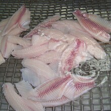 湛江国联水产