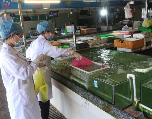 珠海金湾水产品和冷冻肉类等重点食品核酸检测结果出炉