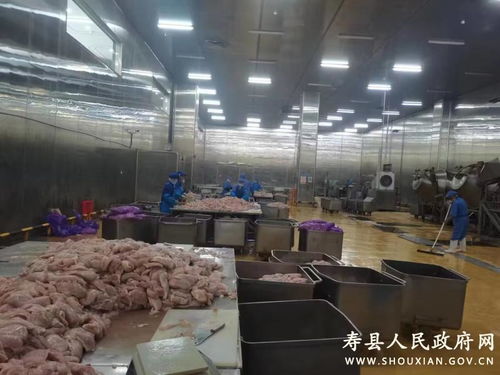 安徽寿县 建农产品加工产业园 助力乡村高质量发展