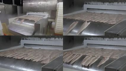 渔业水产海鲜速冻加工生产设备海鲜加工_1920X1080_高清视频素材下载(编号:2754459)_实拍视频