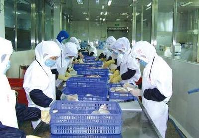 要人均渔业增收近10%,少了配套冷库冷链可不行