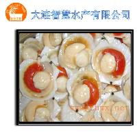 冻半壳夏夷扇贝