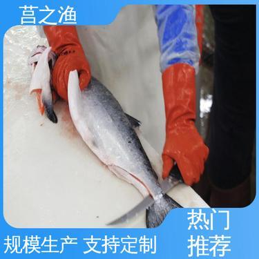 鲑鱼多少钱一斤市场价格