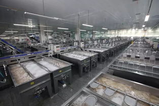 山东荣成市石岛海都食品新型制冷技术领跑 冷 市场
