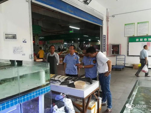 凯里市全面排查冷冻水产品,守住食品安全底线