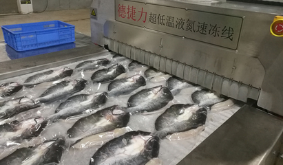 速冻后的鱼比活鱼更有营养吗?