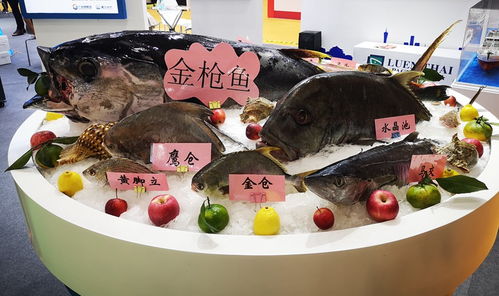 快讯 第六届中国 广州 国际渔业博览会开幕