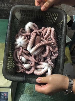 【巨匠日本料理】_巨匠日本料理厂家_巨匠日本料理批发市场 