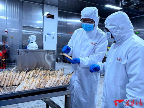 泉州 海丝潮涌奋楫笃行，冷冻肉批发蓄势发展