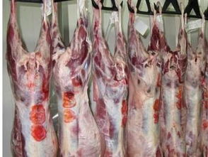 特价冷冻羊肉图片与成都鸿达冷冻食品批发公司简介