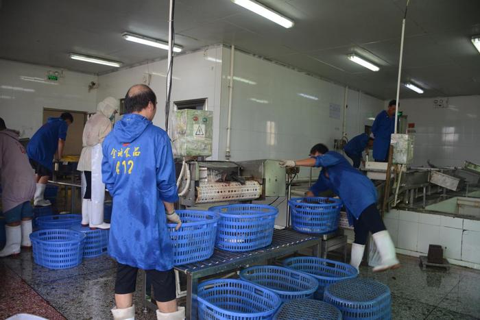 茂南区罗非鱼产业园 科学定位三大生产基地，以创意渔业为核心缔造‘中国罗非鱼之都’与冷冻肉批发新格局