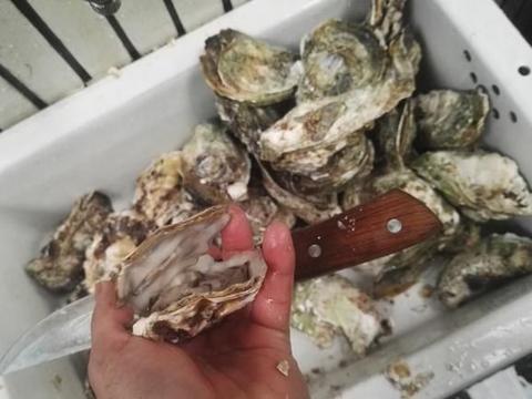 水产品冷冻加工 保鲜技术与产业发展前景